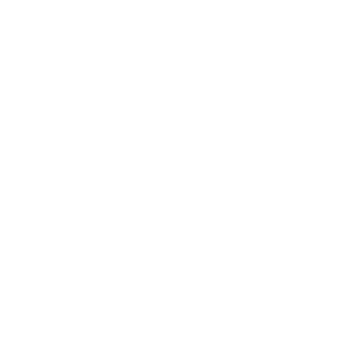 Digital Goverment Society