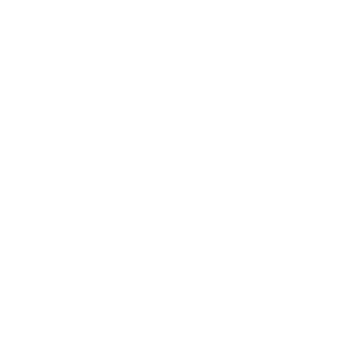 Digital Goverment Society