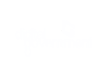 DGS | Digital Government Society