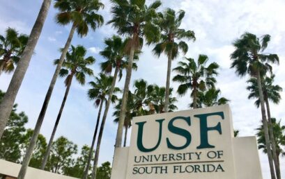 Two New Positions at the University of South Florida