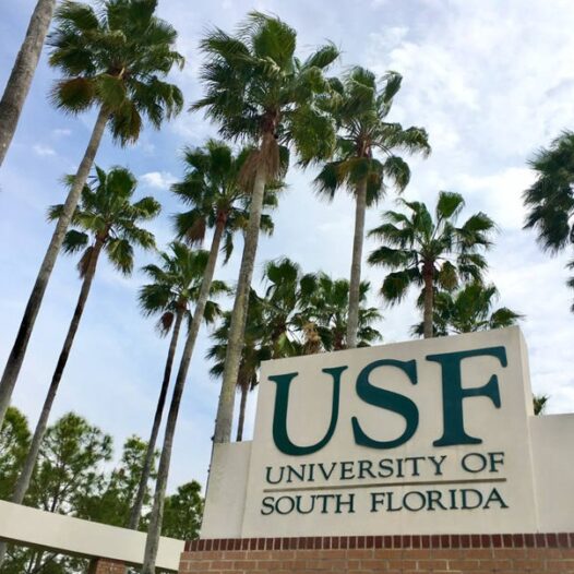 Two New Positions at the University of South Florida