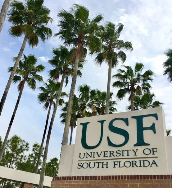 Two New Positions at the University of South Florida