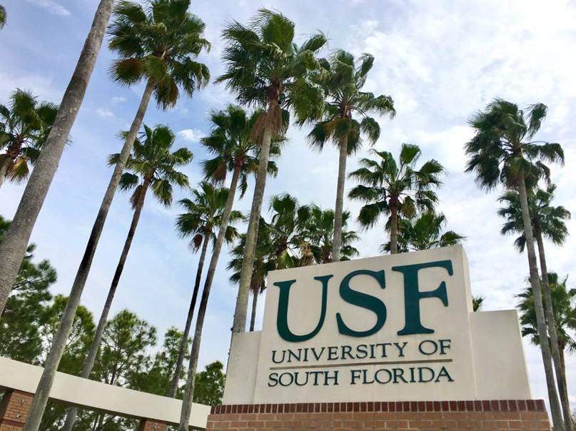 Two New Positions at the University of South Florida Two New Positions at the University of South Florida